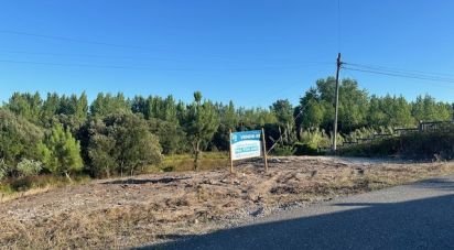 Land in Monte Real e Carvide of 496 m²