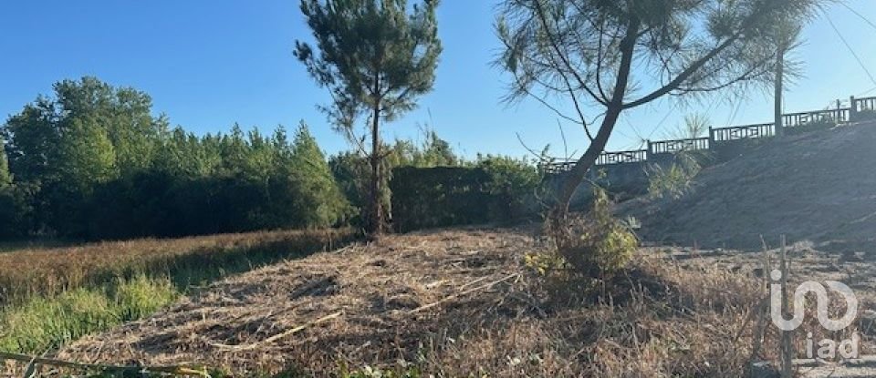 Terreno em Monte Real e Carvide de 496 m²