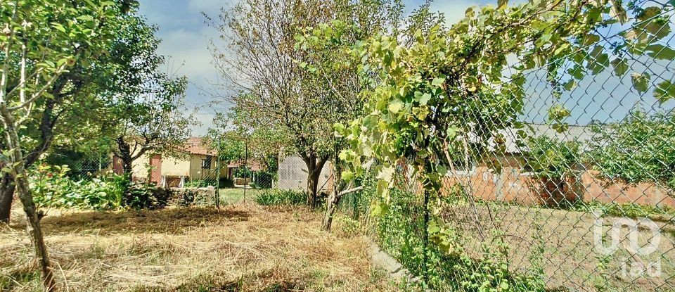 Country house T3 in Avanca of 138 m²