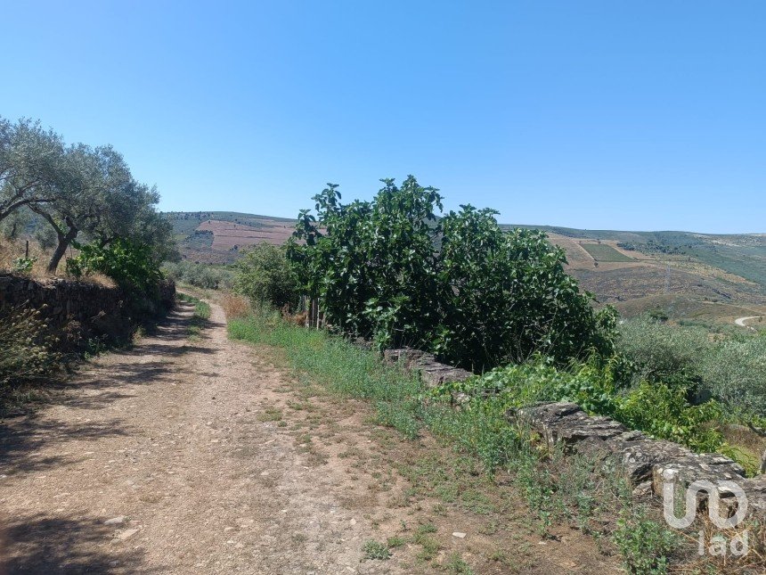 Agricultural land in Poiares of 1,900 m²