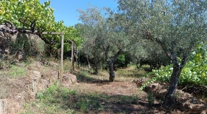 Terrain agricole à Poiares de 1 900 m²