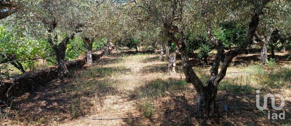 Agricultural land in Poiares of 1,900 m²