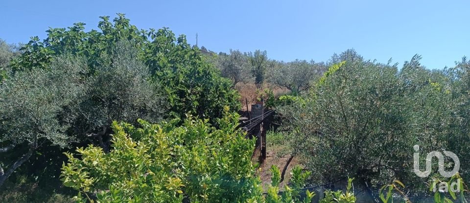 Agricultural land in Poiares of 1,900 m²