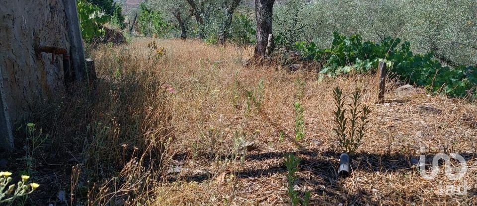 Agricultural land in Poiares of 1,900 m²