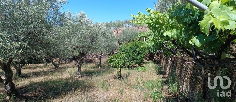 Agricultural land in Poiares of 1,900 m²