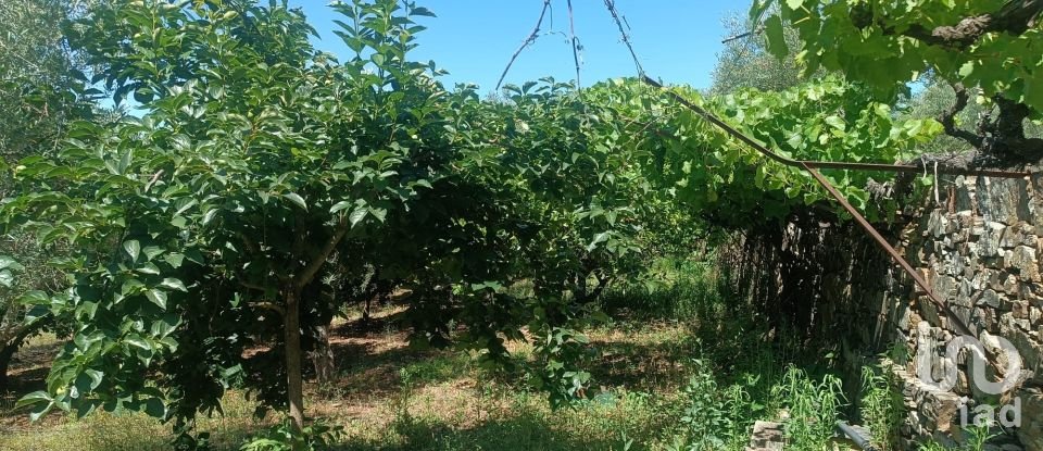 Agricultural land in Poiares of 1,900 m²