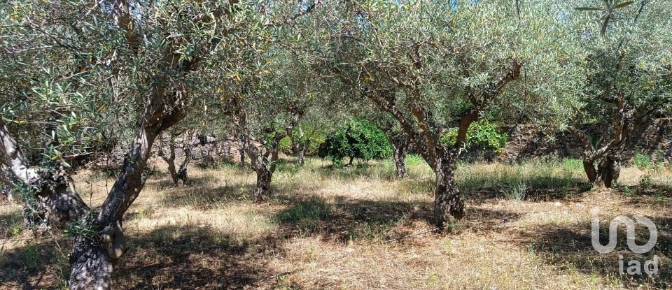 Agricultural land in Poiares of 1,900 m²