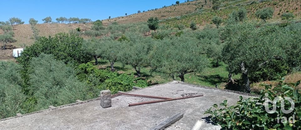 Agricultural land in Poiares of 1,900 m²