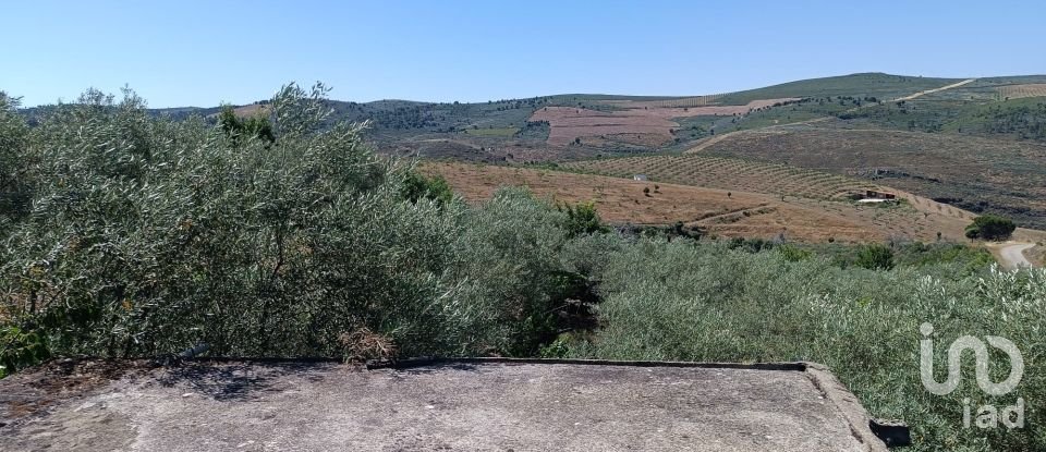 Terrain agricole à Poiares de 1 900 m²