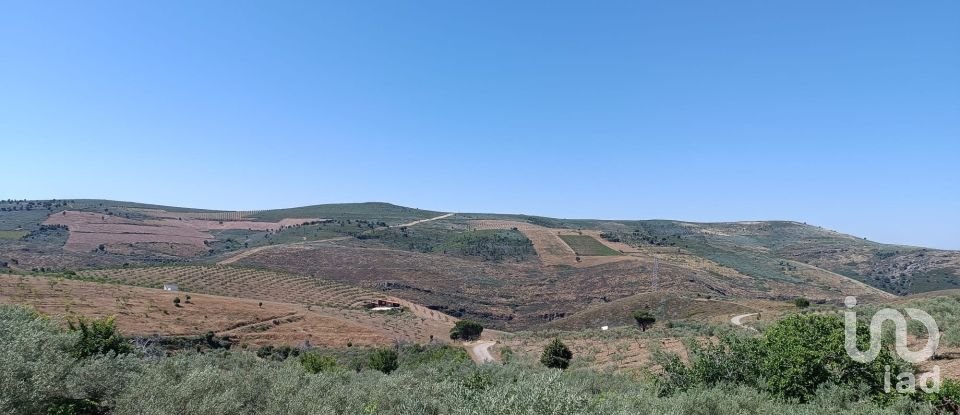 Terrain agricole à Poiares de 1 900 m²