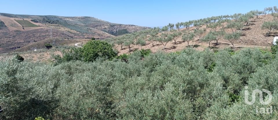 Agricultural land in Poiares of 1,900 m²