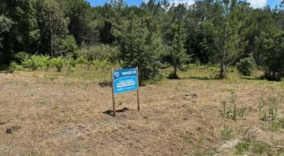 Terreno em Monte Real e Carvide de 1 350 m²