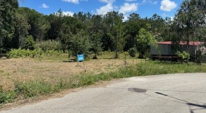 Land in Monte Real e Carvide of 1,350 m²