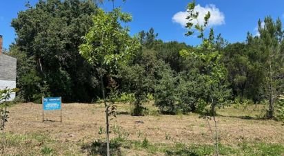 Terreno em Monte Real e Carvide de 1 350 m²