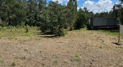 Terreno em Monte Real e Carvide de 1 350 m²