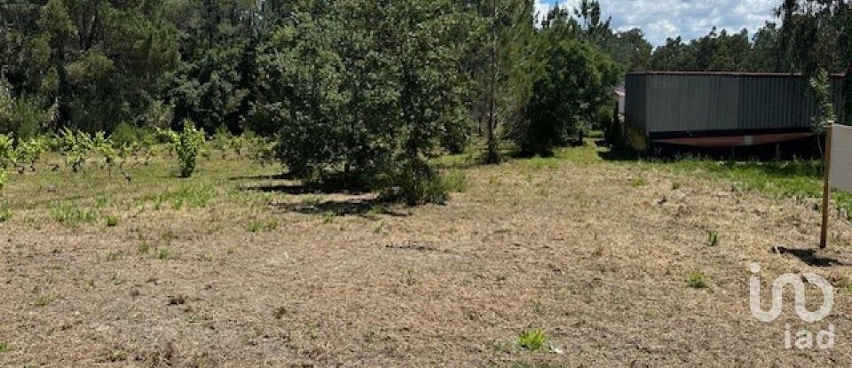 Land in Monte Real e Carvide of 1,350 m²