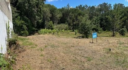 Land in Monte Real e Carvide of 1,350 m²