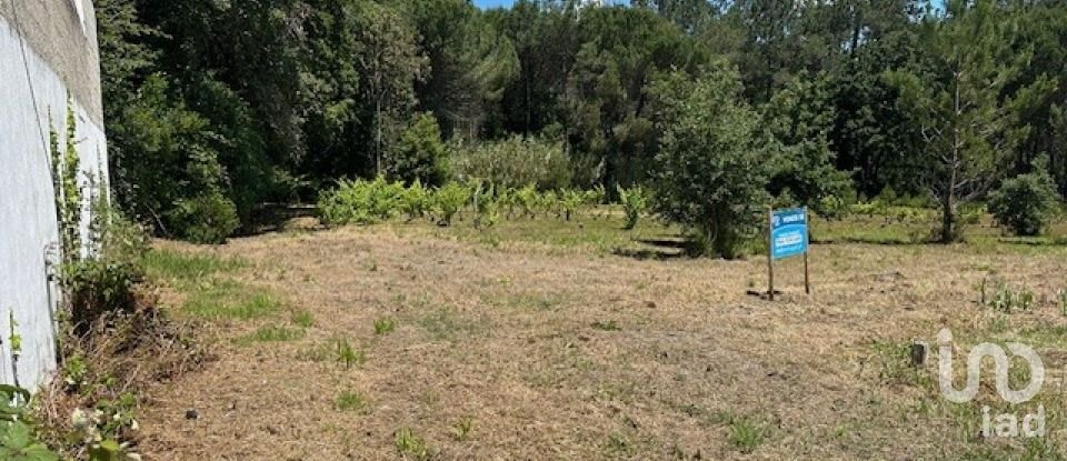 Land in Monte Real e Carvide of 1,350 m²