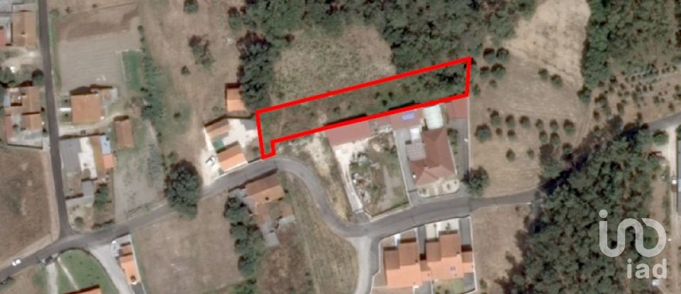 Terreno em Monte Real e Carvide de 1 350 m²