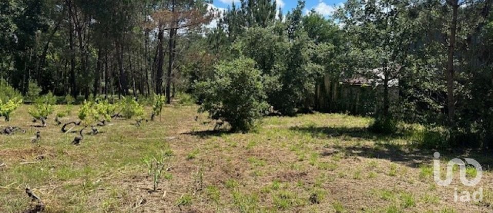 Terreno em Monte Real e Carvide de 1 350 m²