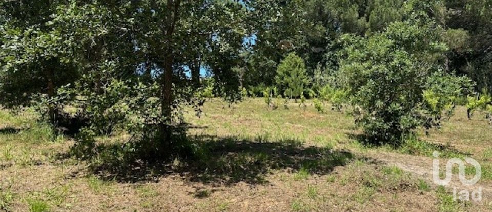 Land in Monte Real e Carvide of 1,350 m²