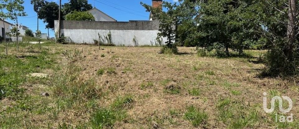 Terreno em Monte Real e Carvide de 1 350 m²