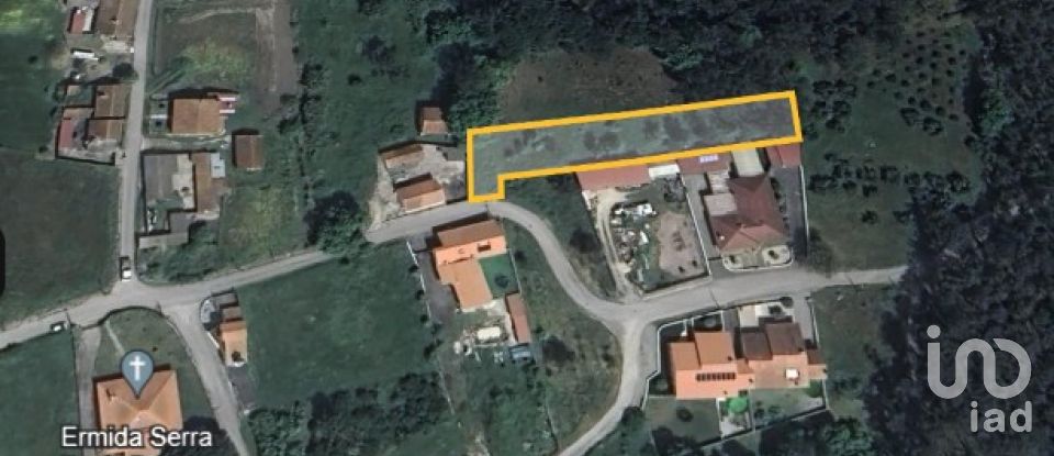 Terreno em Monte Real e Carvide de 1 350 m²