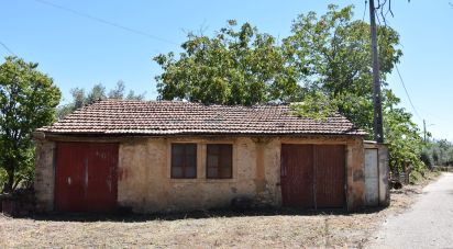 Casa de aldeia T1 em Areias e Pias de 72 m²