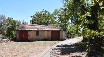 Casa de aldeia T1 em Areias e Pias de 72 m²