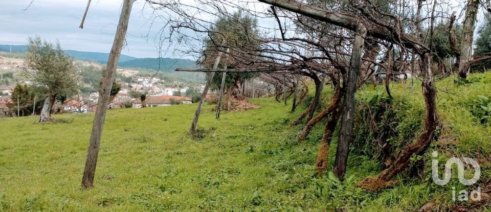 Farm T7 in Arco de Baúlhe e Vila Nune of 699 m²