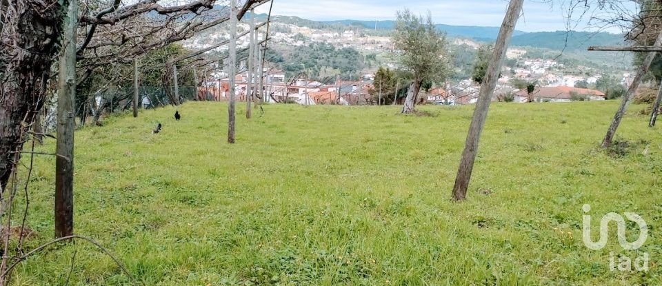 Ferme T7 à Arco de Baúlhe e Vila Nune de 699 m²