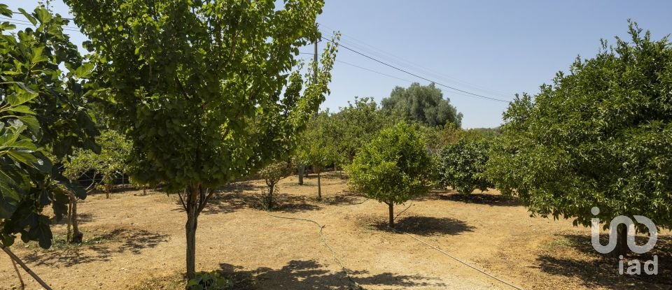 House T4 in Quelfes of 260 m²