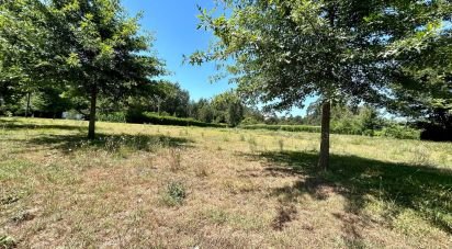 Land in Manhente of 6,670 m²