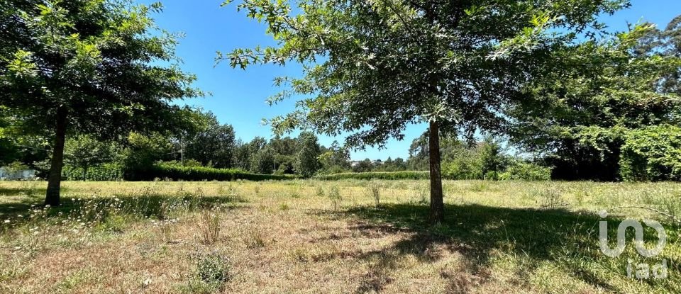 Land in Manhente of 6,670 m²