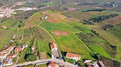 Ferme T0 à Peral de 92 520 m²