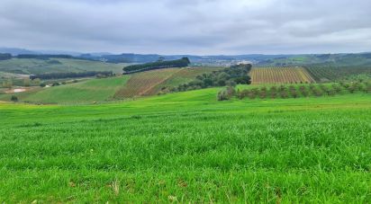 Ferme T0 à Peral de 92 520 m²