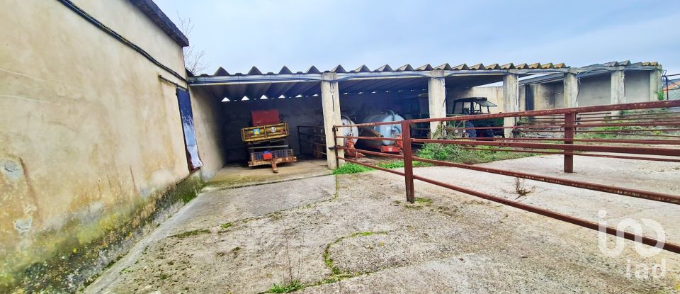 Farm T0 in Peral of 92,520 m²