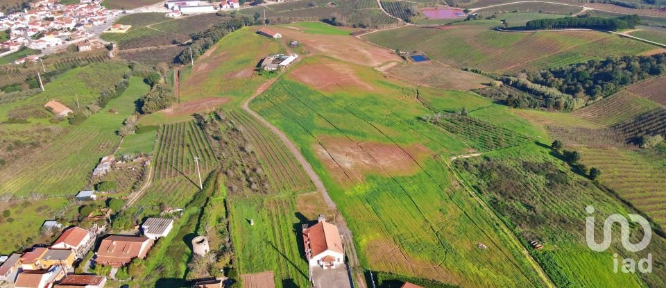 Farm T0 in Peral of 92,520 m²