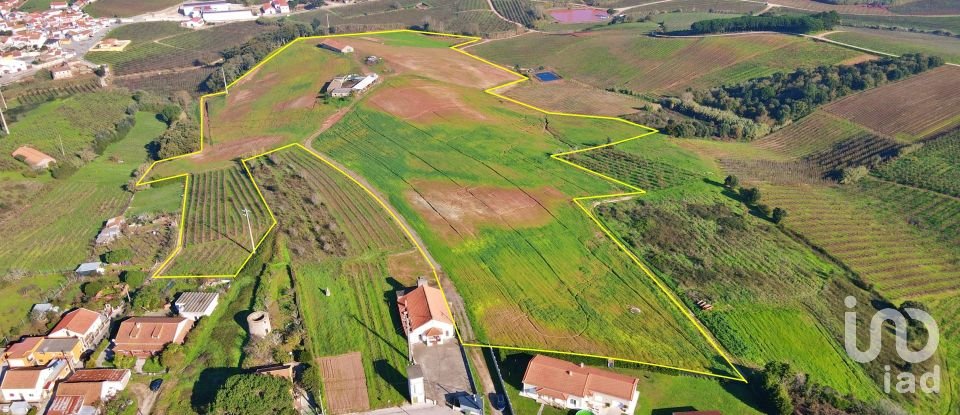 Farm T0 in Peral of 92,520 m²