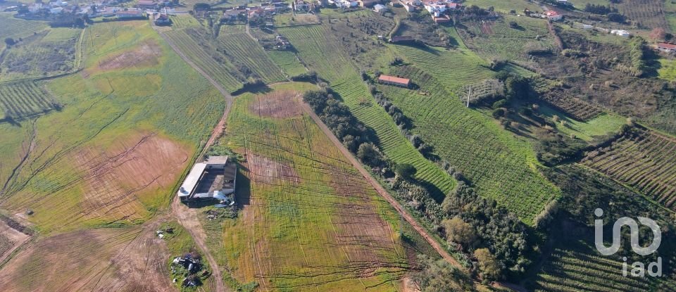 Farm T0 in Peral of 92,520 m²