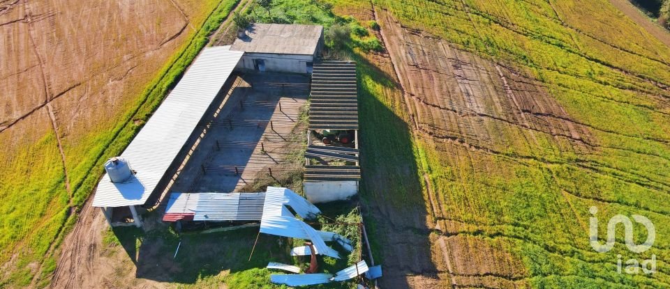 Farm T0 in Peral of 92,520 m²