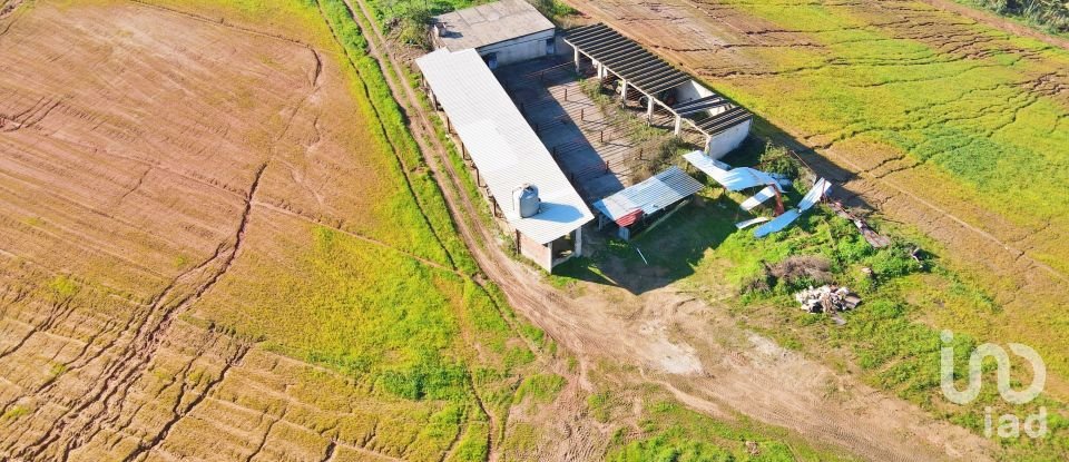 Farm T0 in Peral of 92,520 m²