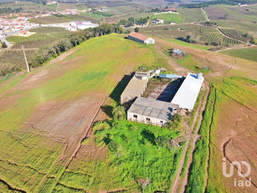 Farm T0 in Peral of 92,520 m²