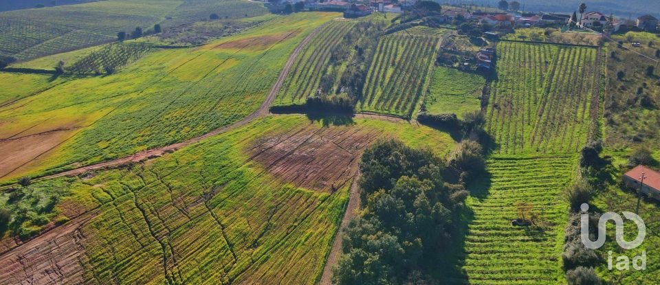 Farm T0 in Peral of 92,520 m²