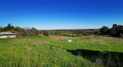 Land in Brogueira, Parceiros de Igreja e Alcorochel of 10,405 m²