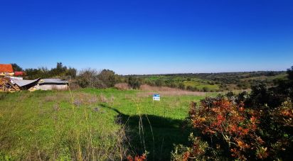 Land in Brogueira, Parceiros de Igreja e Alcorochel of 10,405 m²