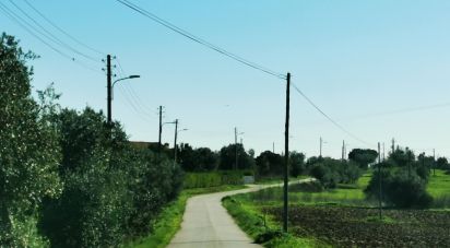 Land in Brogueira, Parceiros de Igreja e Alcorochel of 10,405 m²