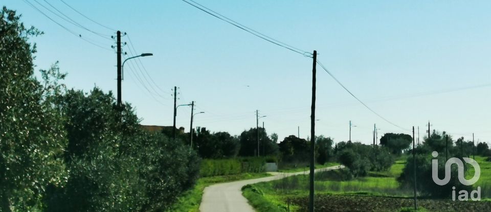 Terreno em Brogueira, Parceiros de Igreja e Alcorochel de 10 405 m²