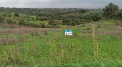 Land in Brogueira, Parceiros de Igreja e Alcorochel of 10,405 m²