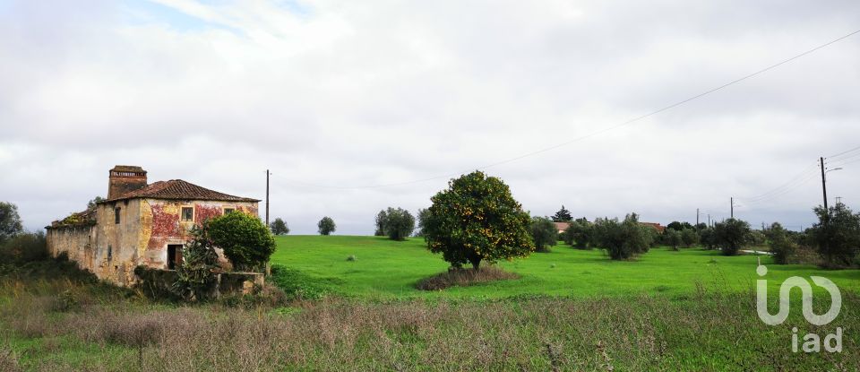 Terreno em Brogueira, Parceiros de Igreja e Alcorochel de 10 405 m²